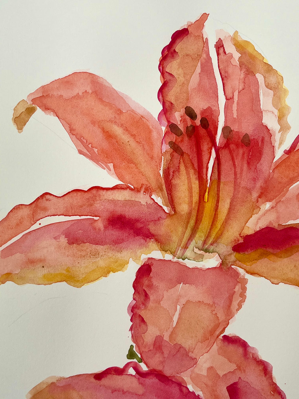 Petals in China 1